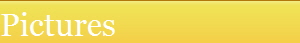 Pictures